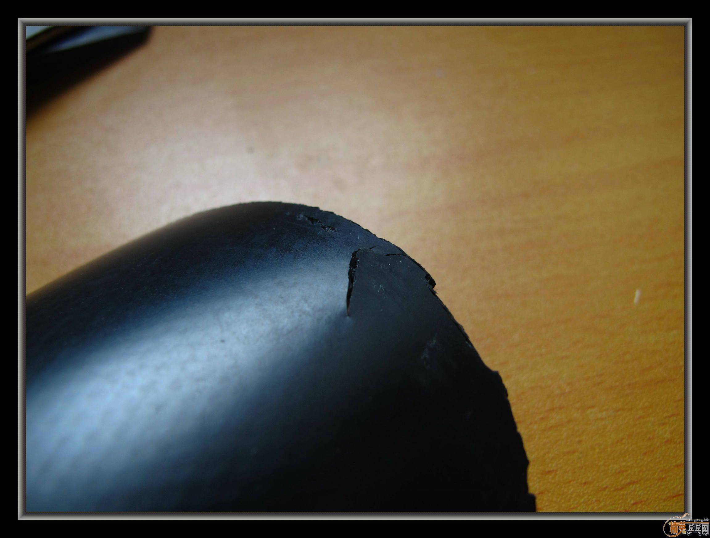 ��С����Ʒ����ʮ���齺Ƥ������ͣ������coppa֮��