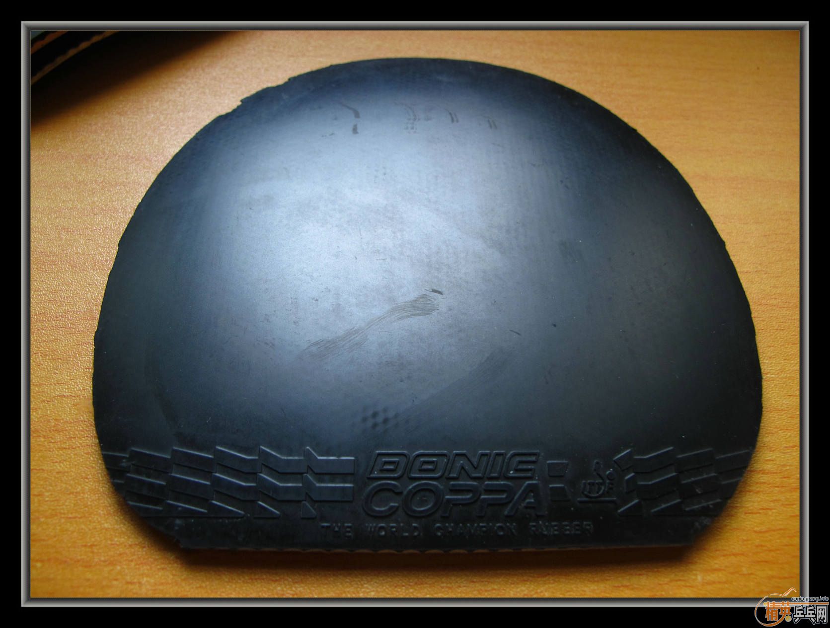 ��С����Ʒ����ʮ���齺Ƥ������ͣ������coppa֮��