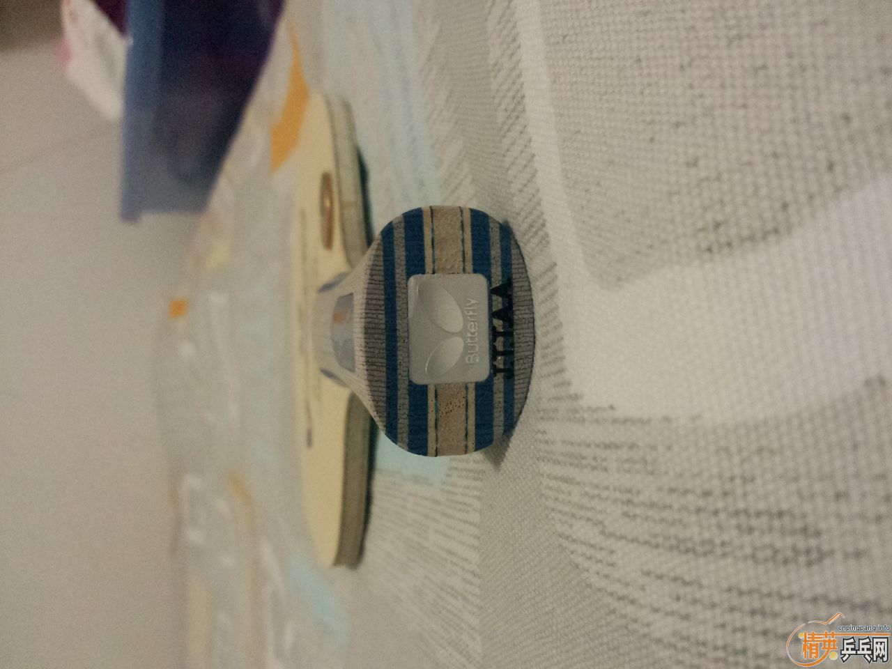 [ԭ��]����ͬ�ǳ�'����alc����Բ�����Ǵ���