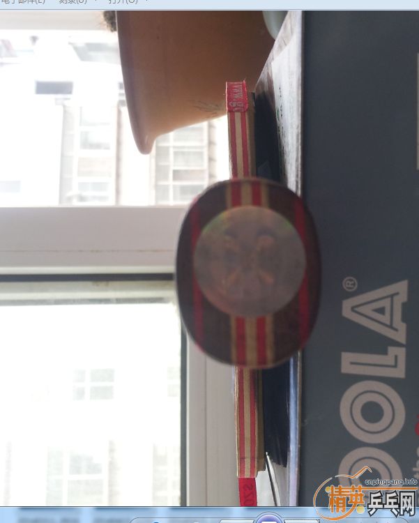 ����ϸ��cl