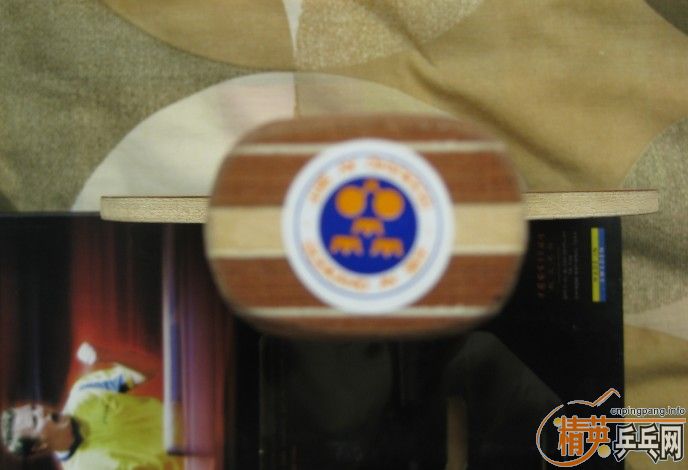 ******���ѳ�õ��5ŷ���ɫ�ܺ�400Ԫ********