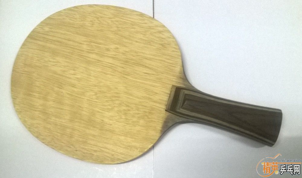 ���Ʊ���һֻ