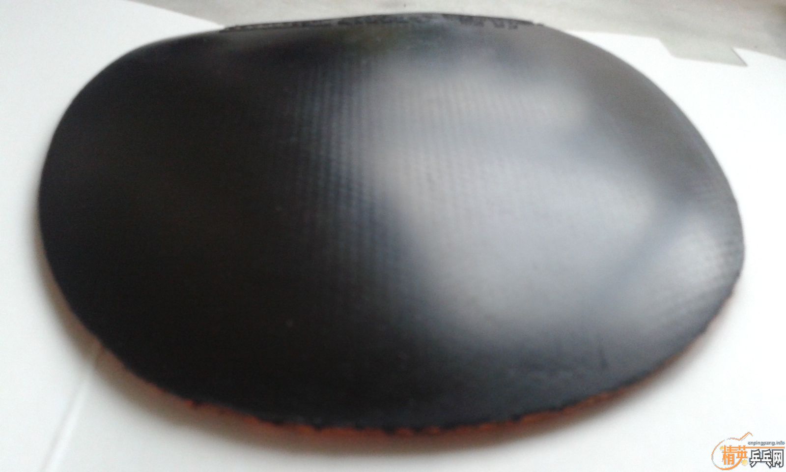 ���˳������׽�������������