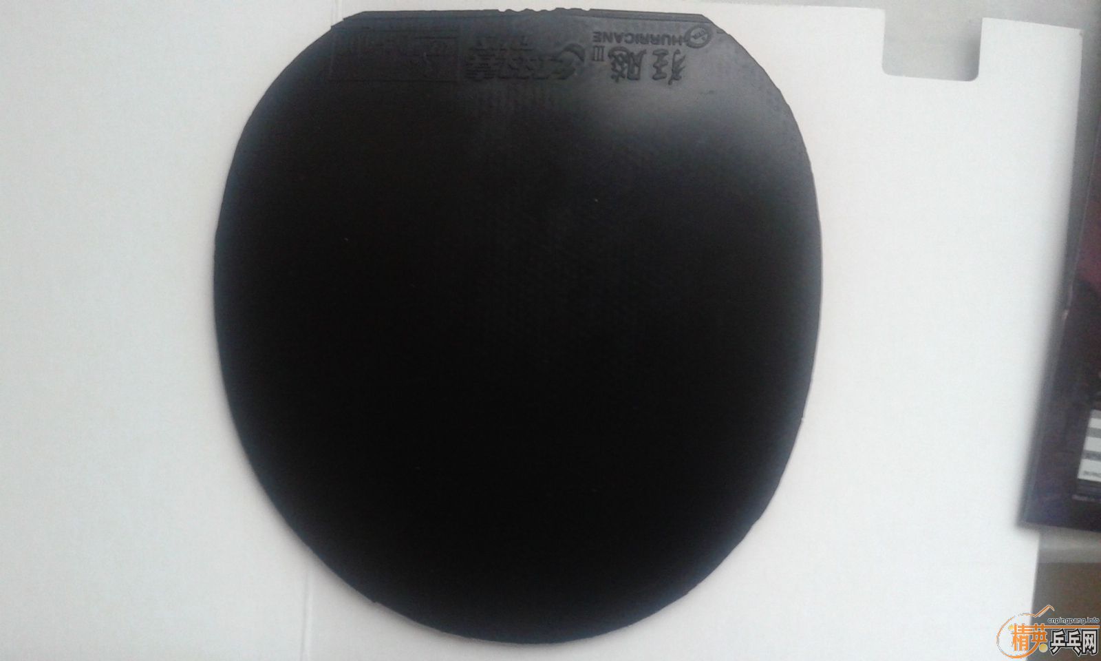 ���˳������׽�������������