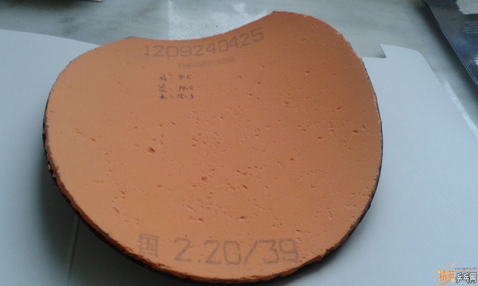 ���˳������׽�������������