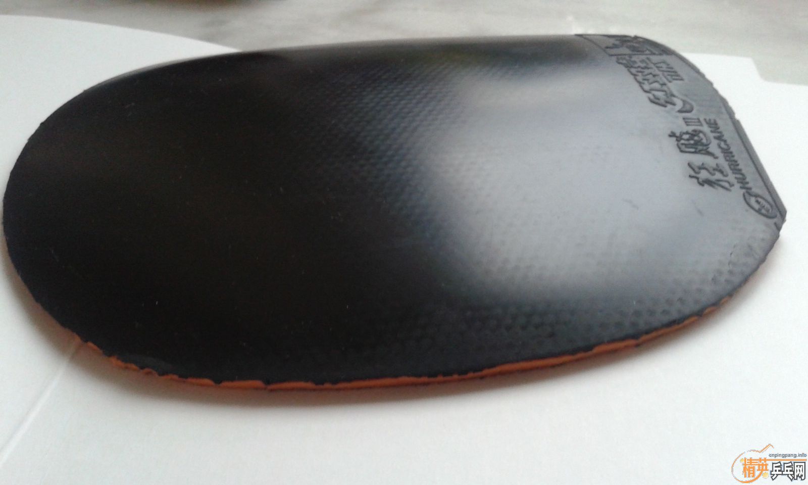 ���˳������׽�������������