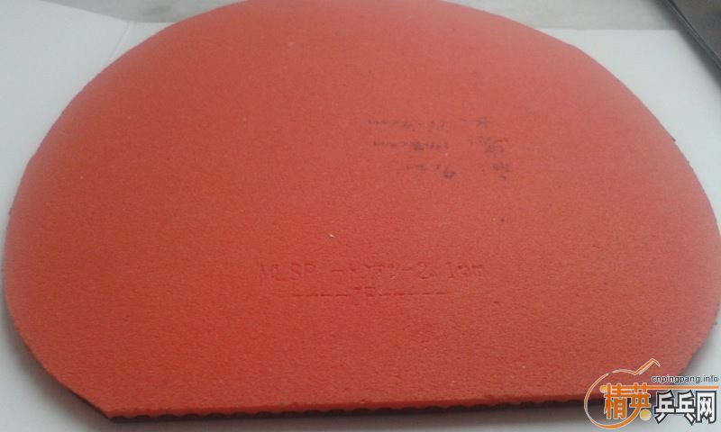 ���˳������׽�������������