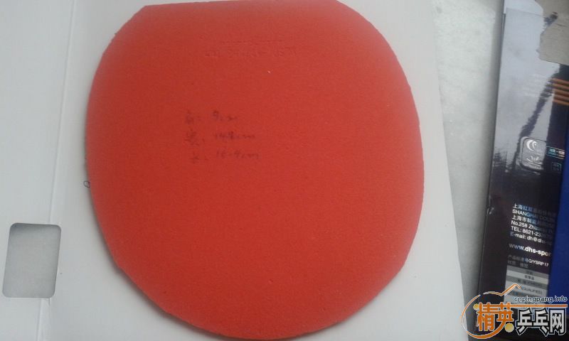 ���˳������׽�������������