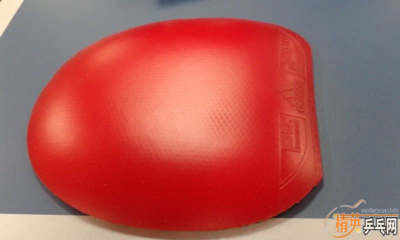 ���˳������׽�������������