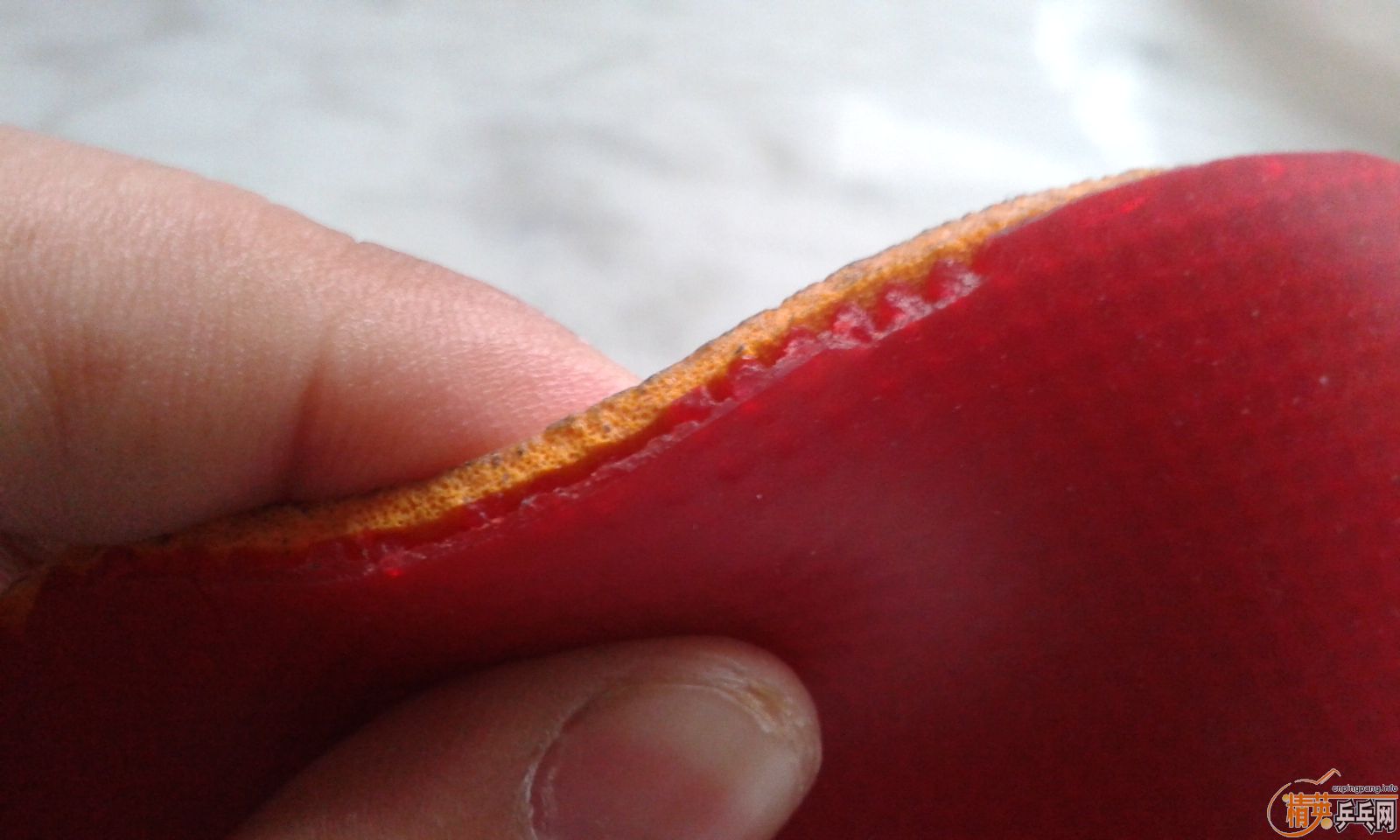 ���˳������׽�������������