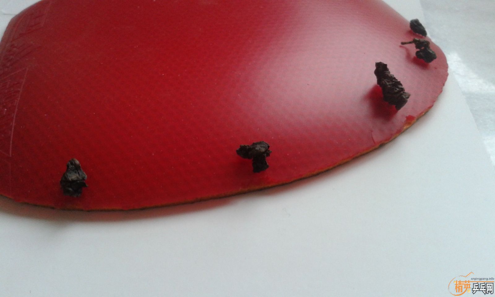 ���˳������׽�������������