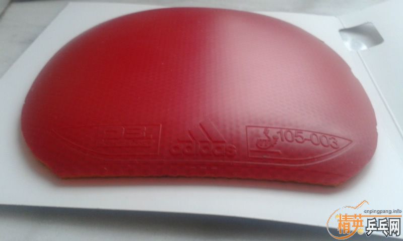 ���˳������׽�������������