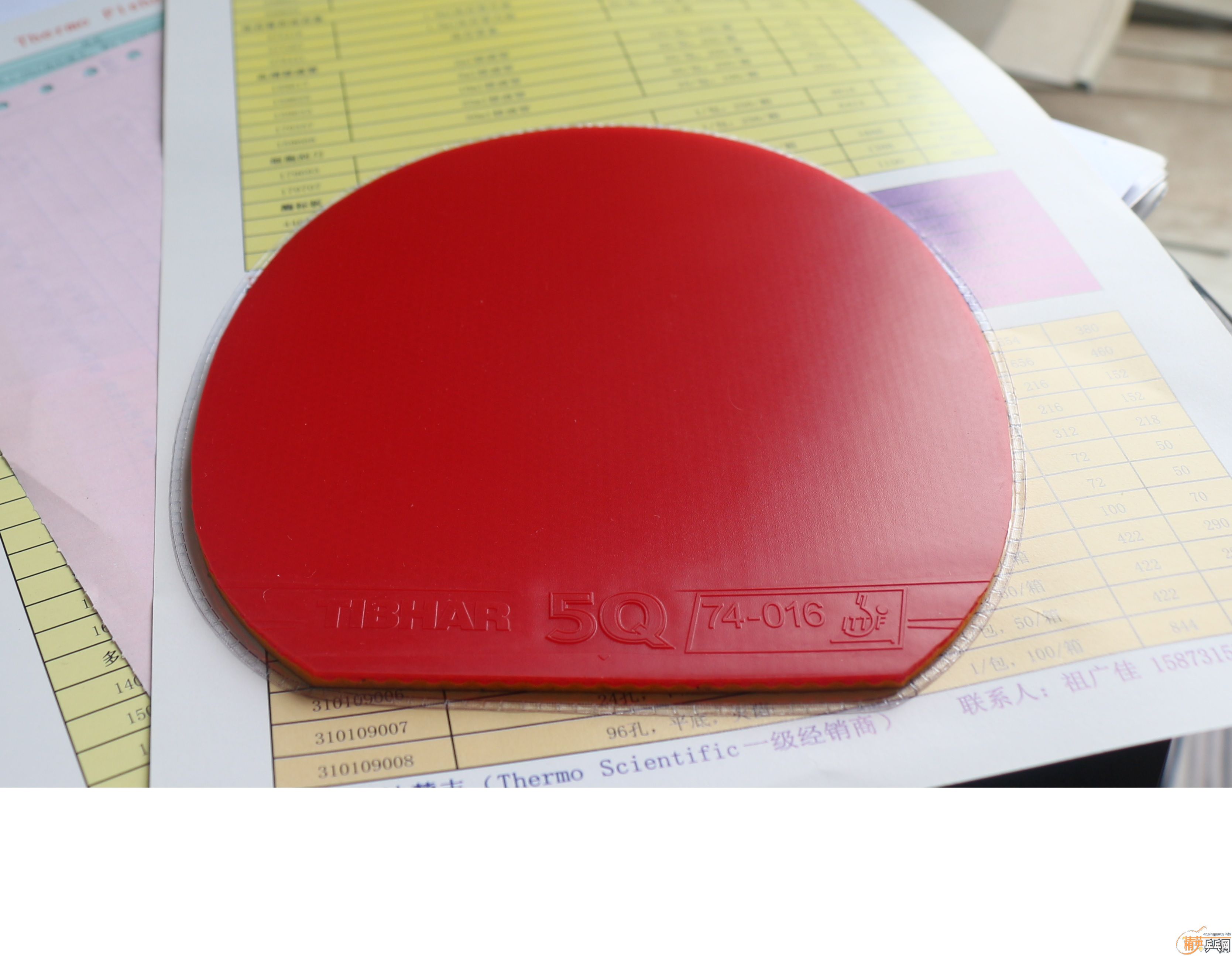 ���µ�5Q����ɫ����ʡ������