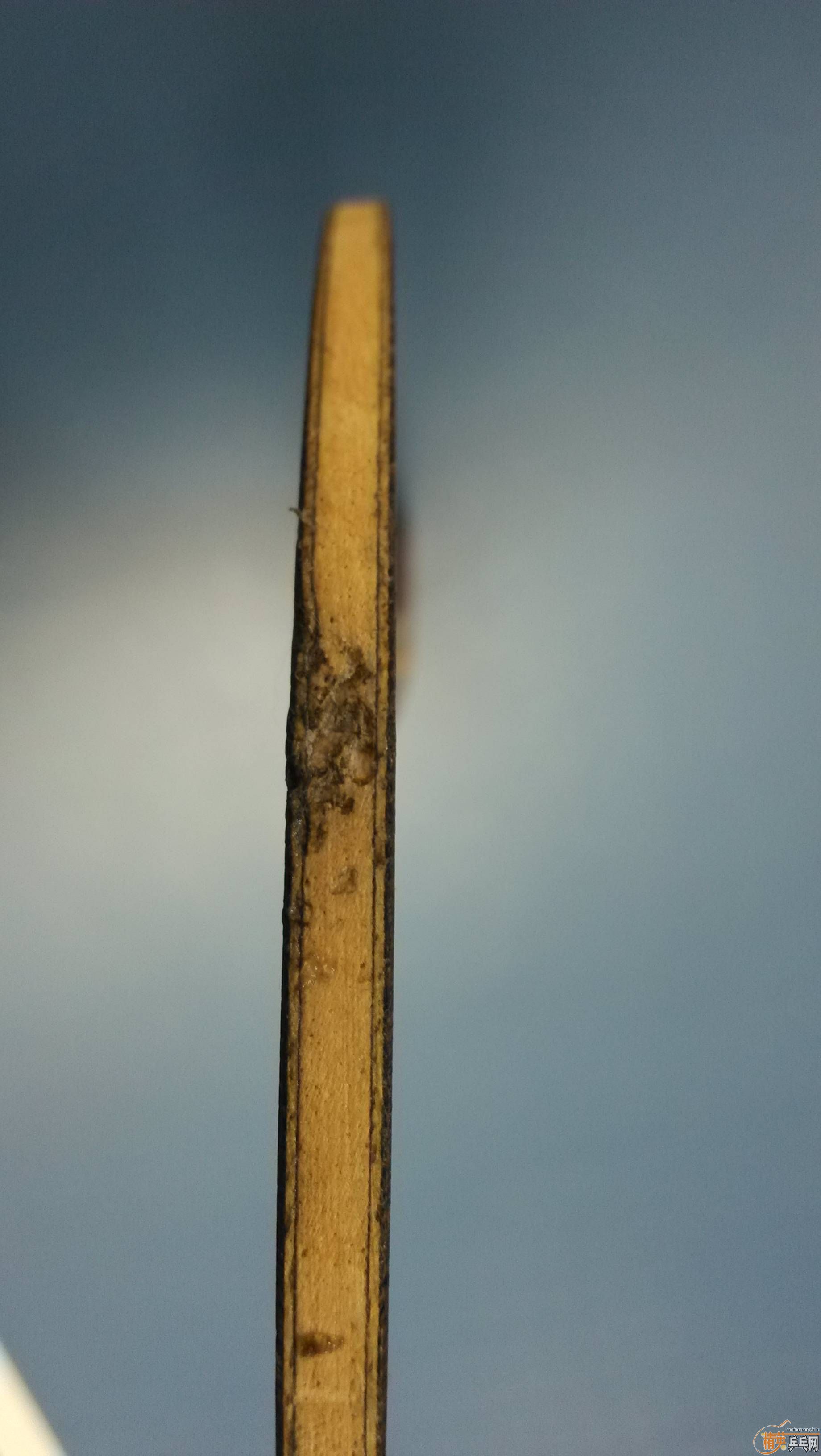 ���ѳ����л�YEO7power���հ�YEO�����۸���ˣ�ֻΪ�ٳ������룡����֧��������