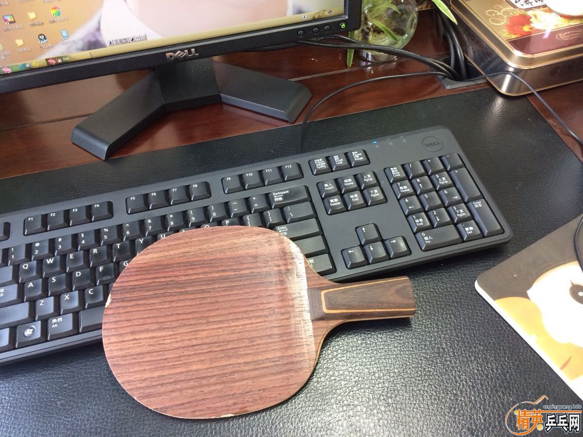 õ��XO����