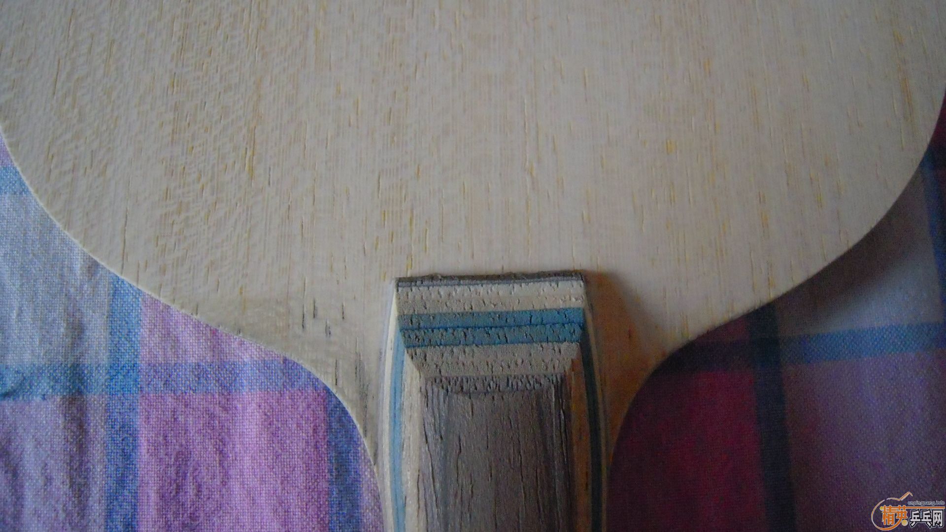NVISCARIA87ˣ860ʣ