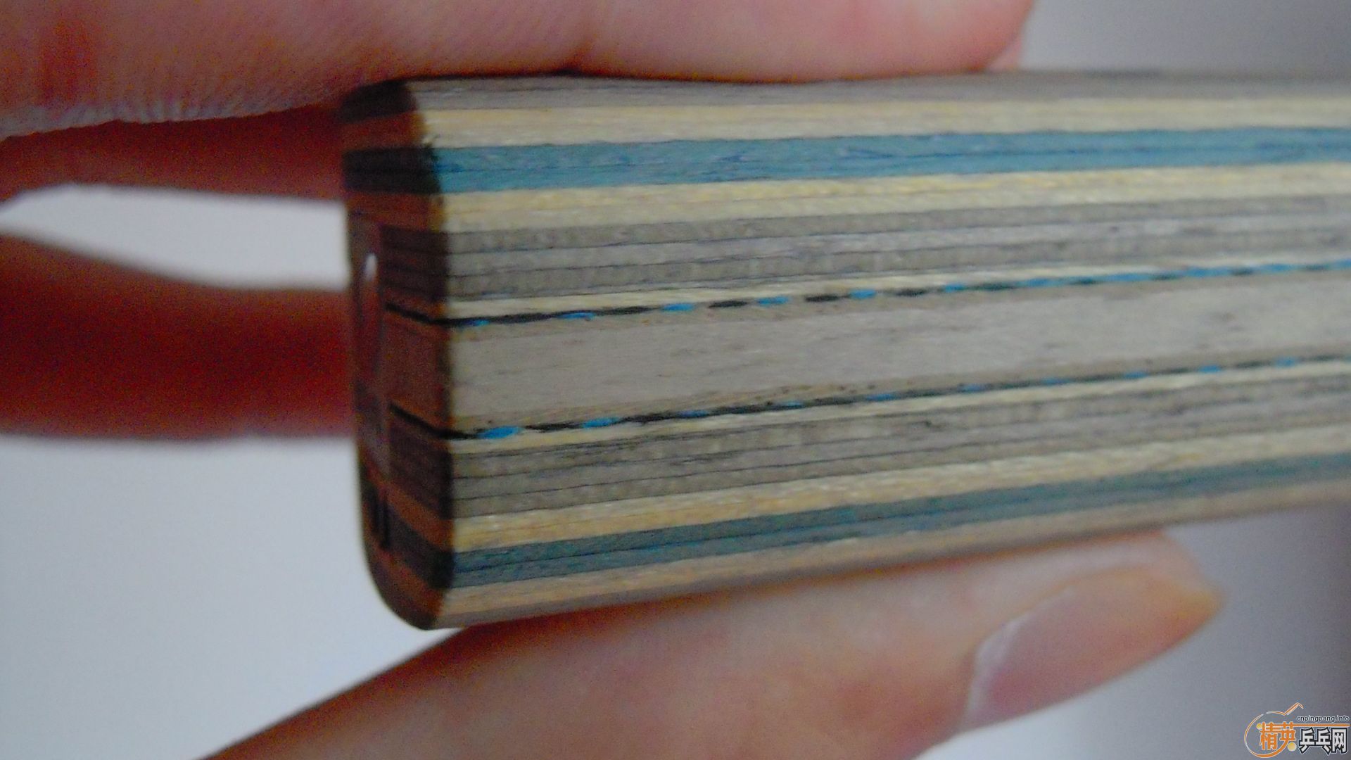 NVISCARIA87ˣ860ʣ