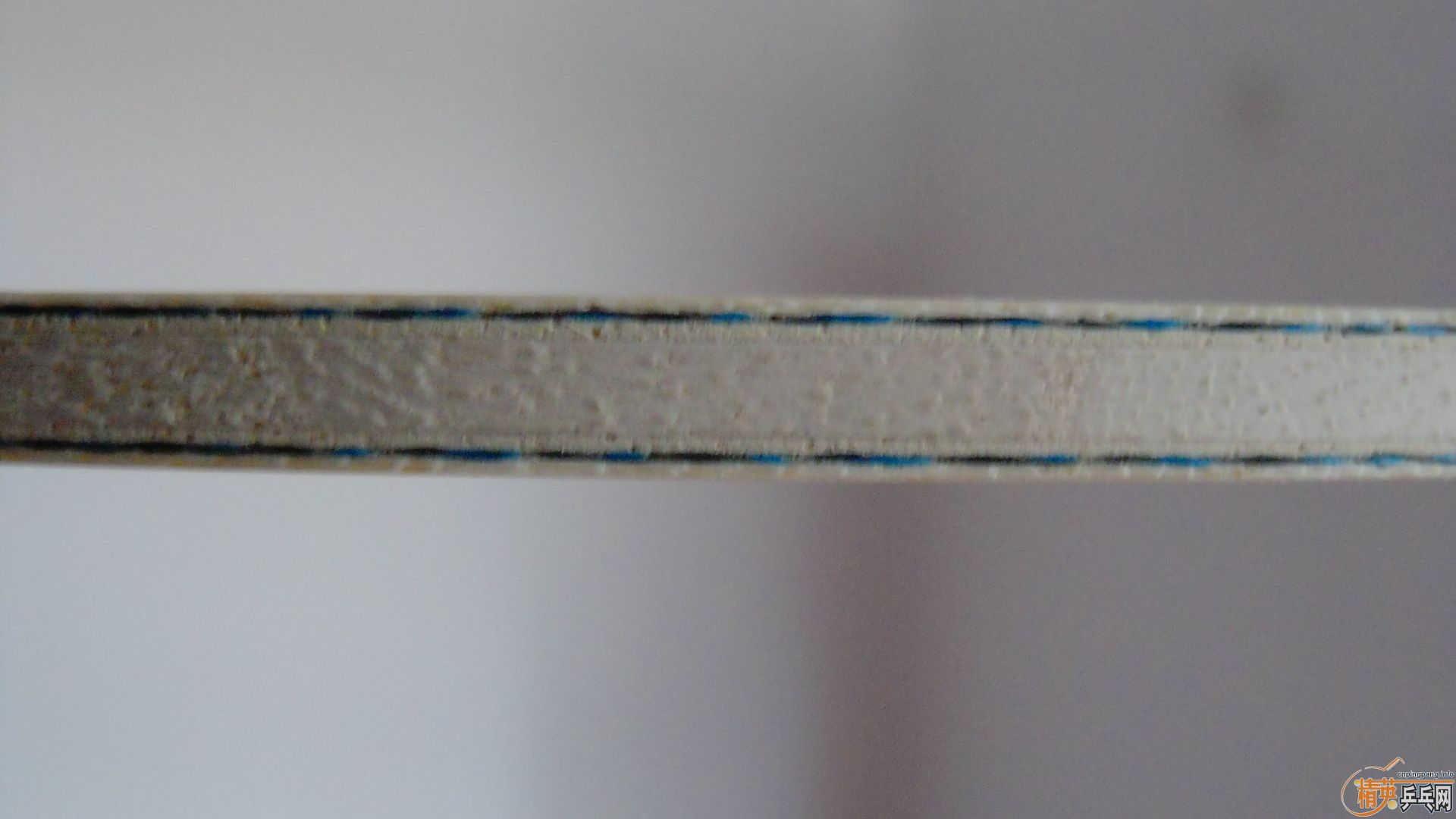 NVISCARIA87ˣ860ʣ