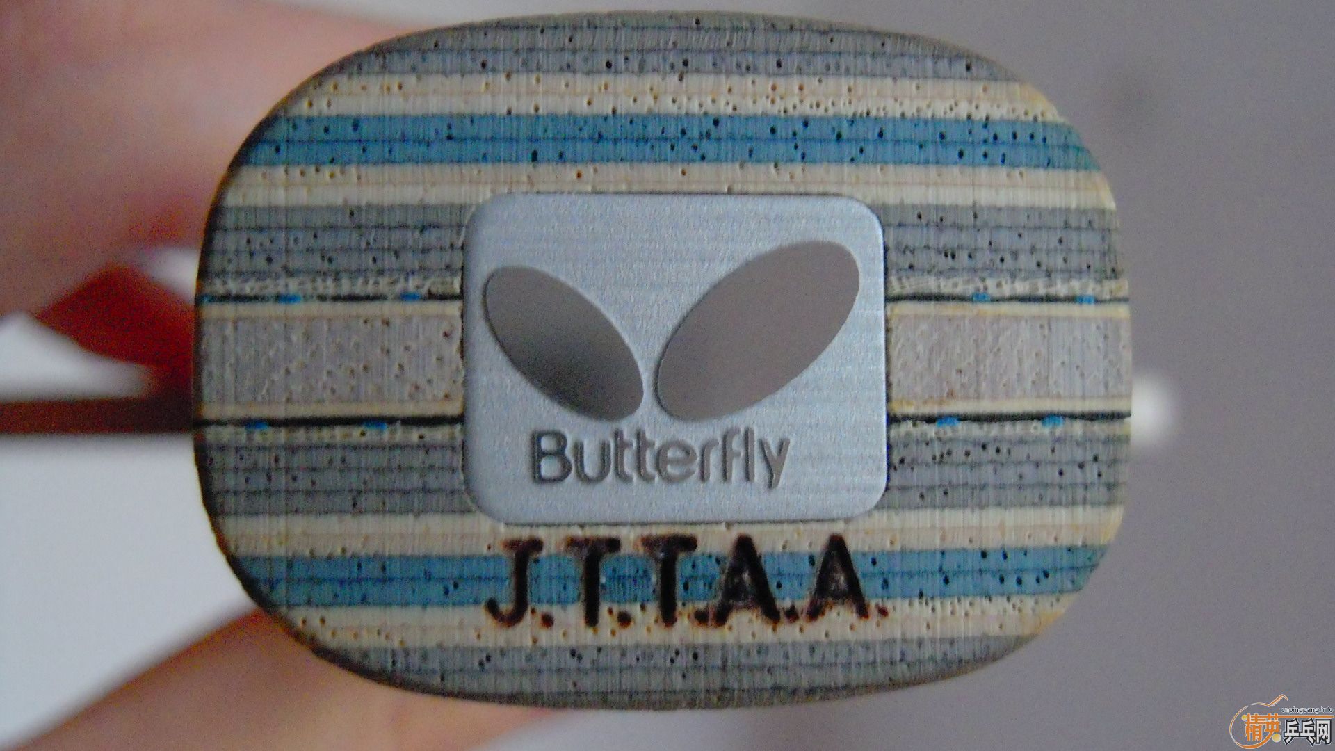 NVISCARIA87ˣ860ʣ