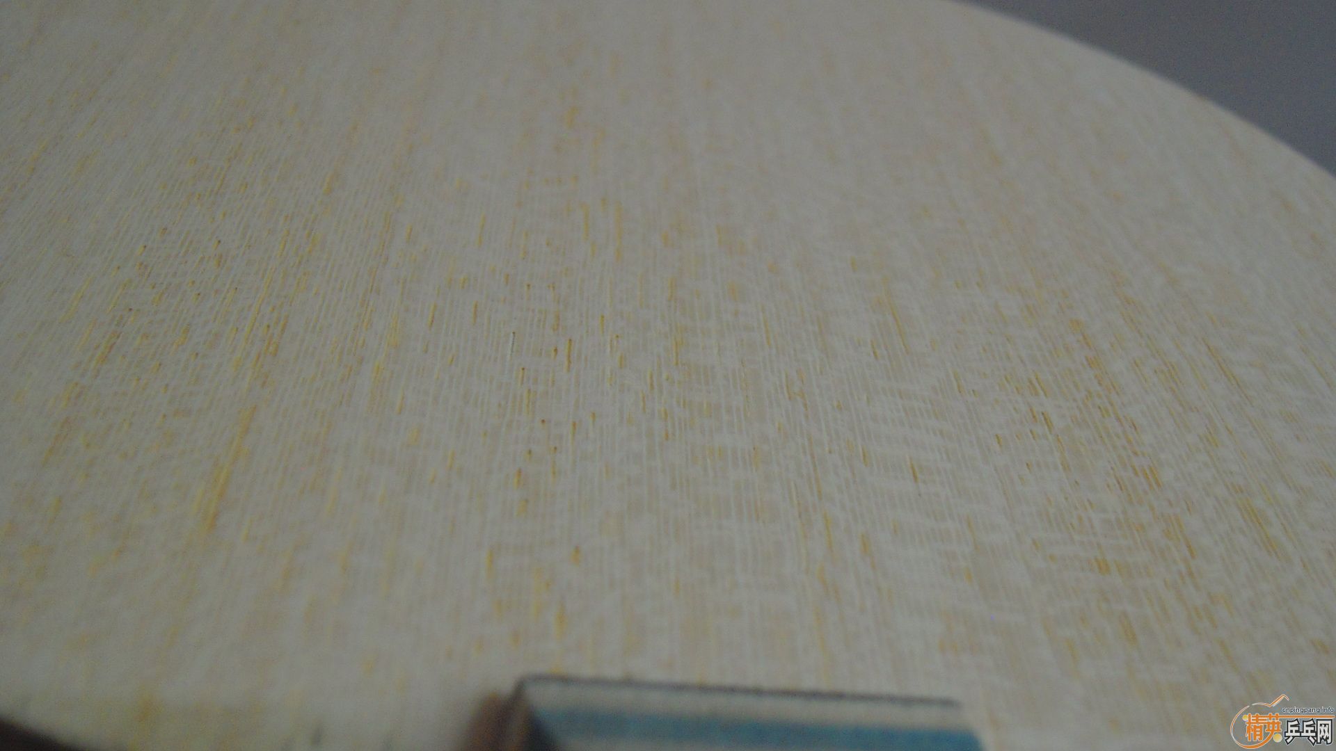 NVISCARIA87ˣ860ʣ