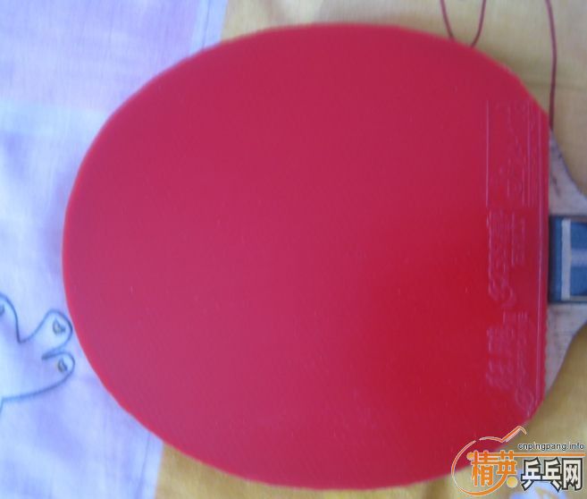qpZmxRX6.jpg