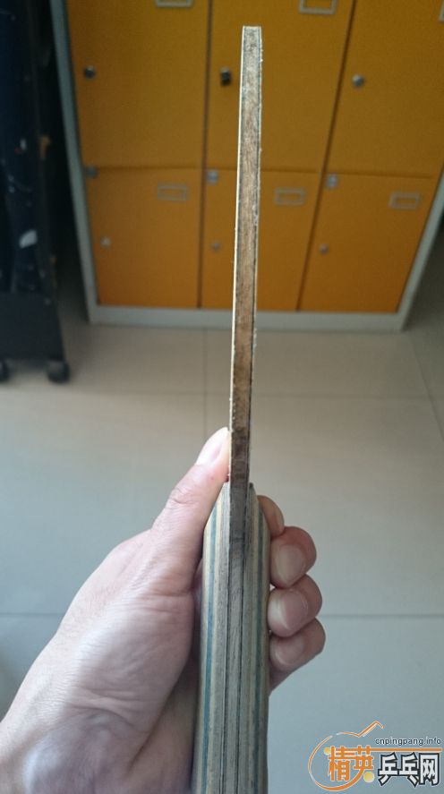 �������Ʒ�����ճ� L��VIS��M��TBS