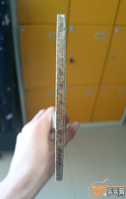 �������Ʒ�����ճ� L��VIS��M��TBS