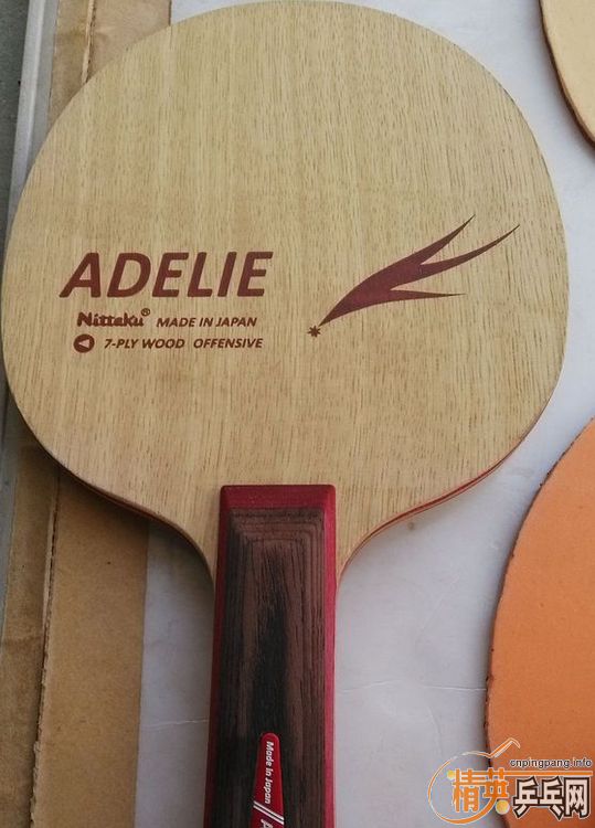 510���ʳ��������հ�ST����