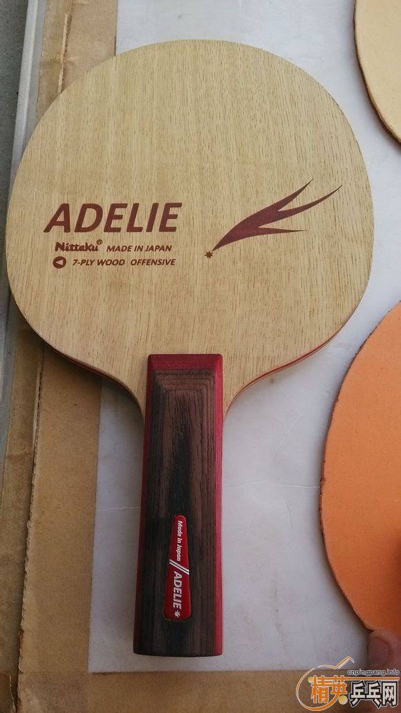 510���ʳ��������հ�ST����