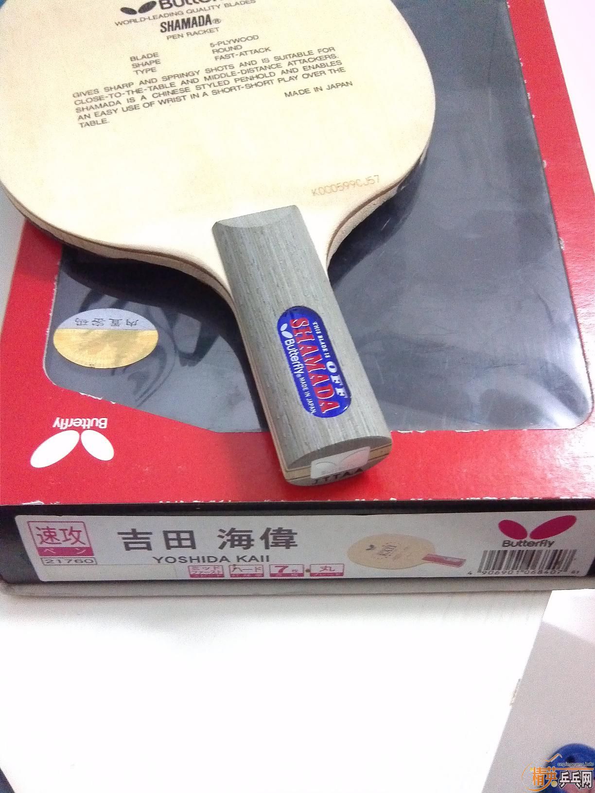 ������ ɳ�������