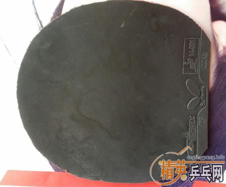 ������������׽�