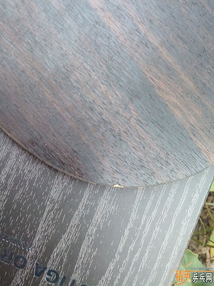 ���ѳ�   �л� ��̴��     800   ������