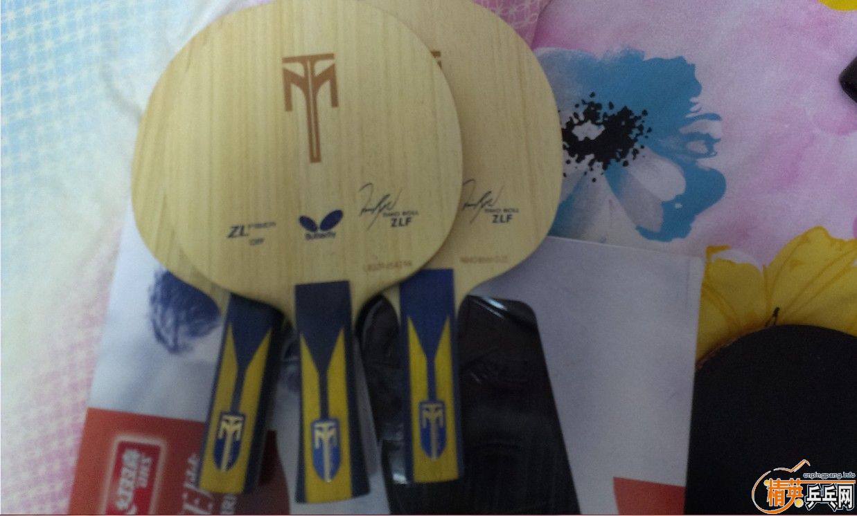 ~~~~~~~~~~~��������zlf~~~~~~~~~