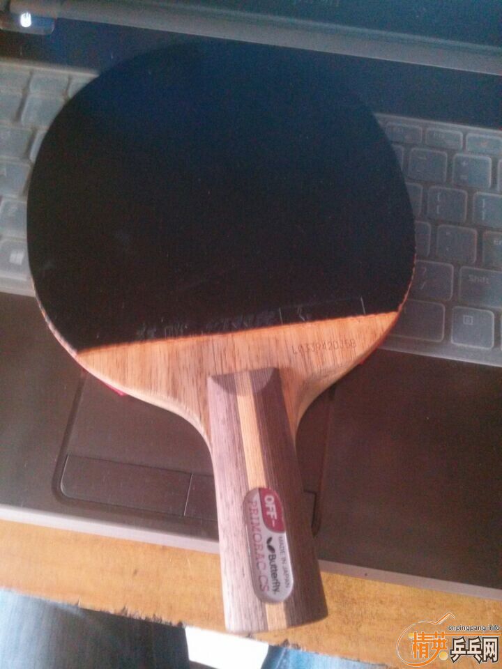 �����º�������Ī�δ�ľ+���¿�����260����