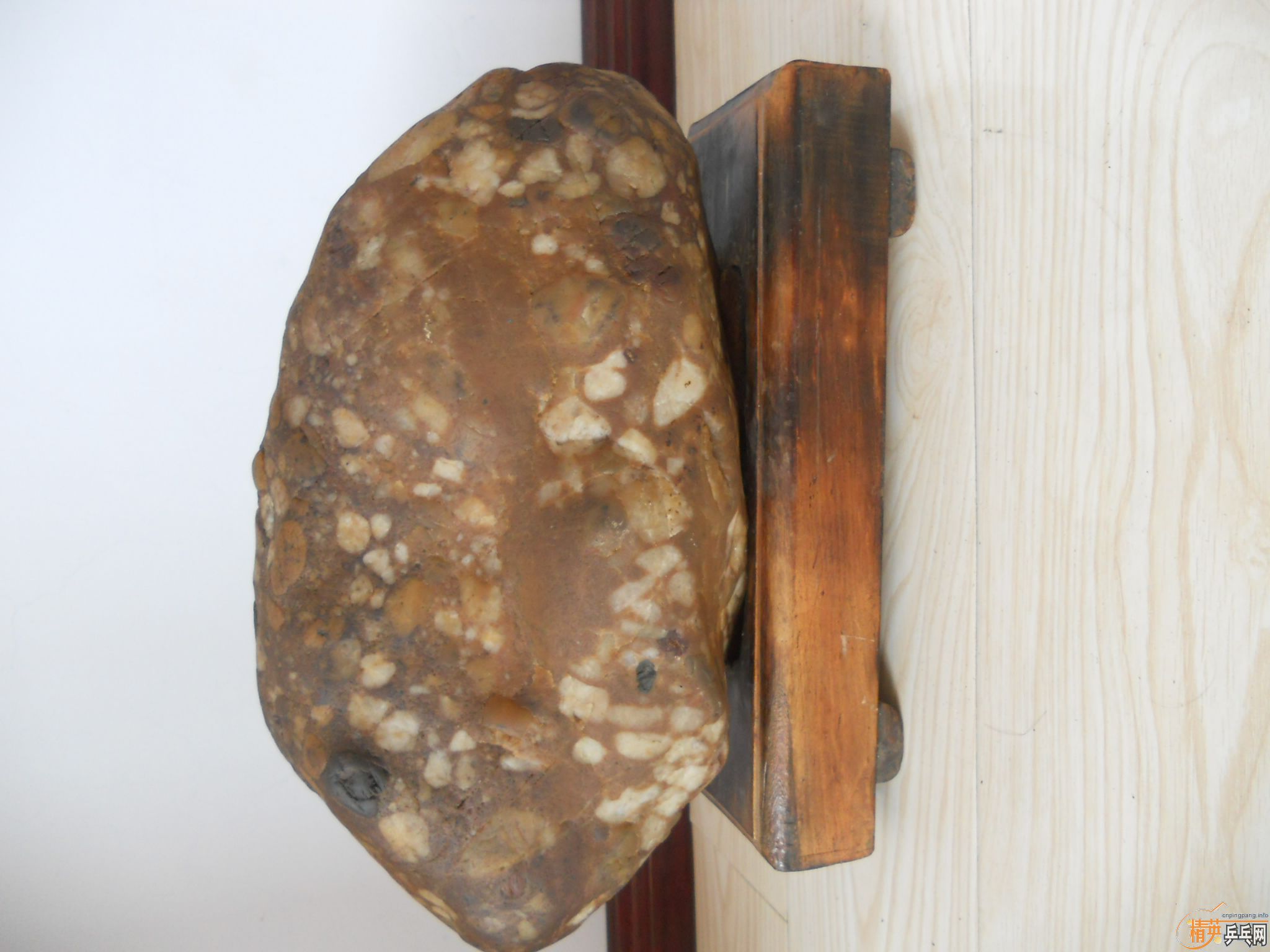 ������������ɳ�����YEO лл