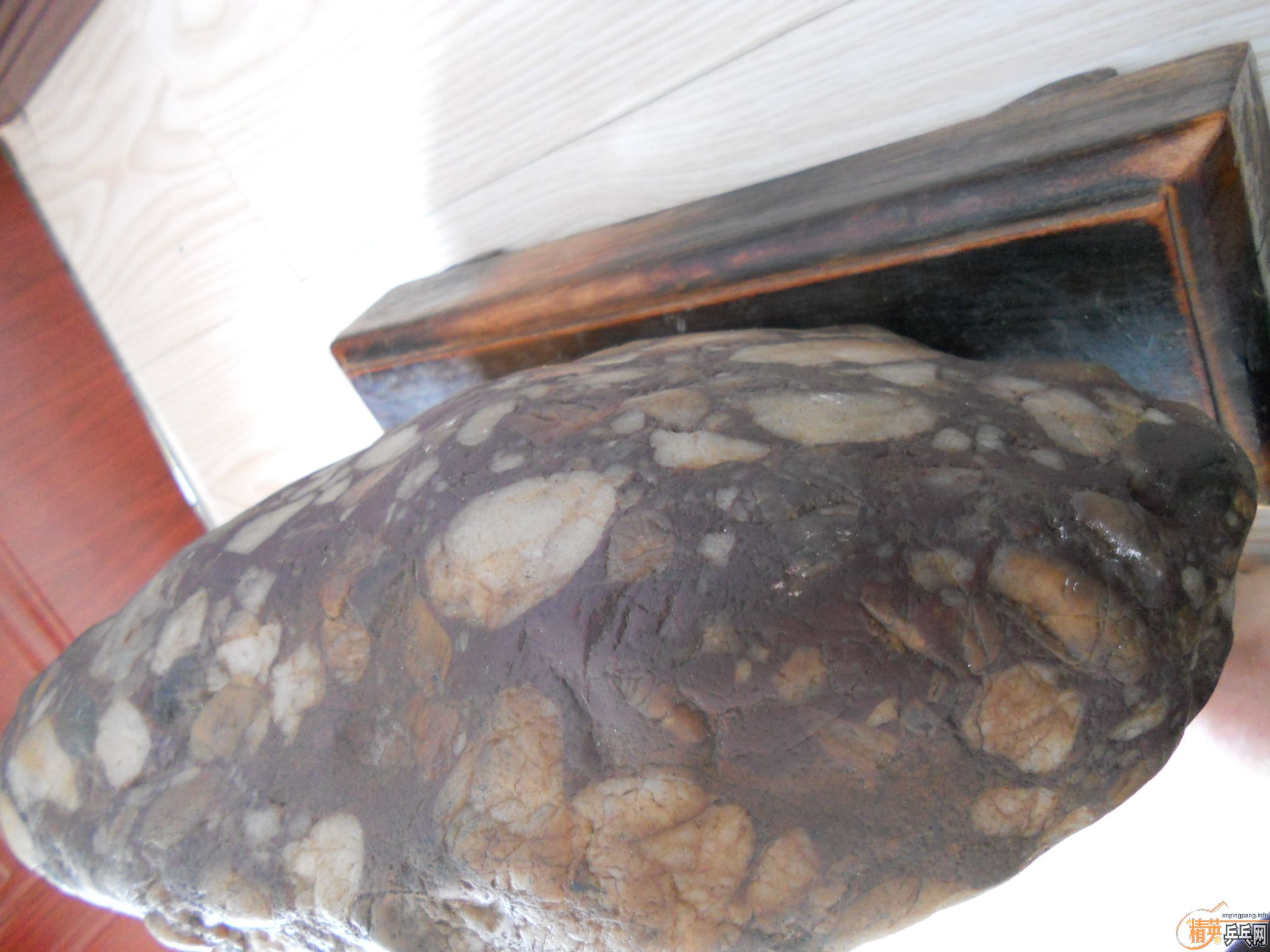 ������������ɳ�����YEO лл