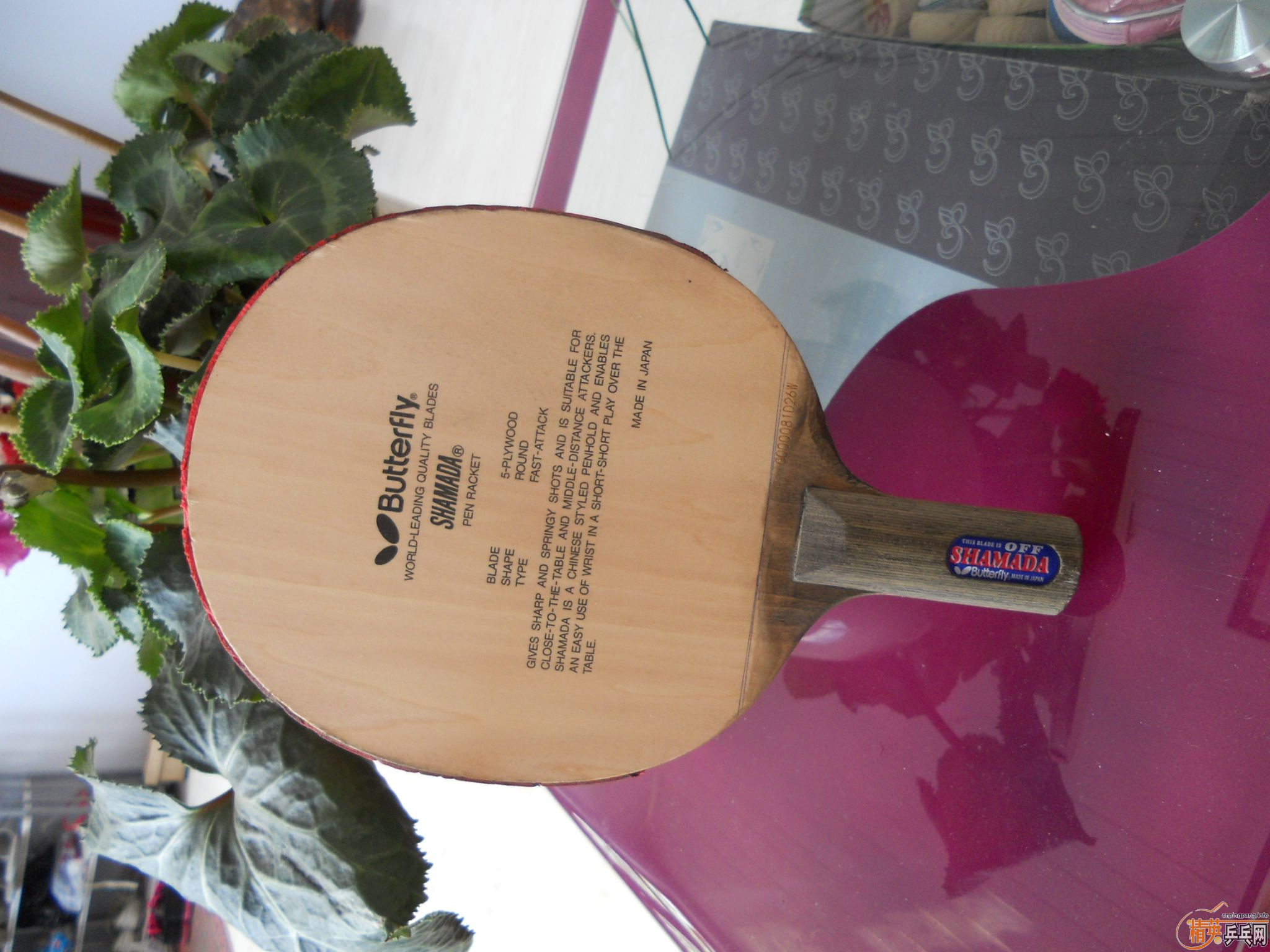 ������������ɳ�����YEO лл