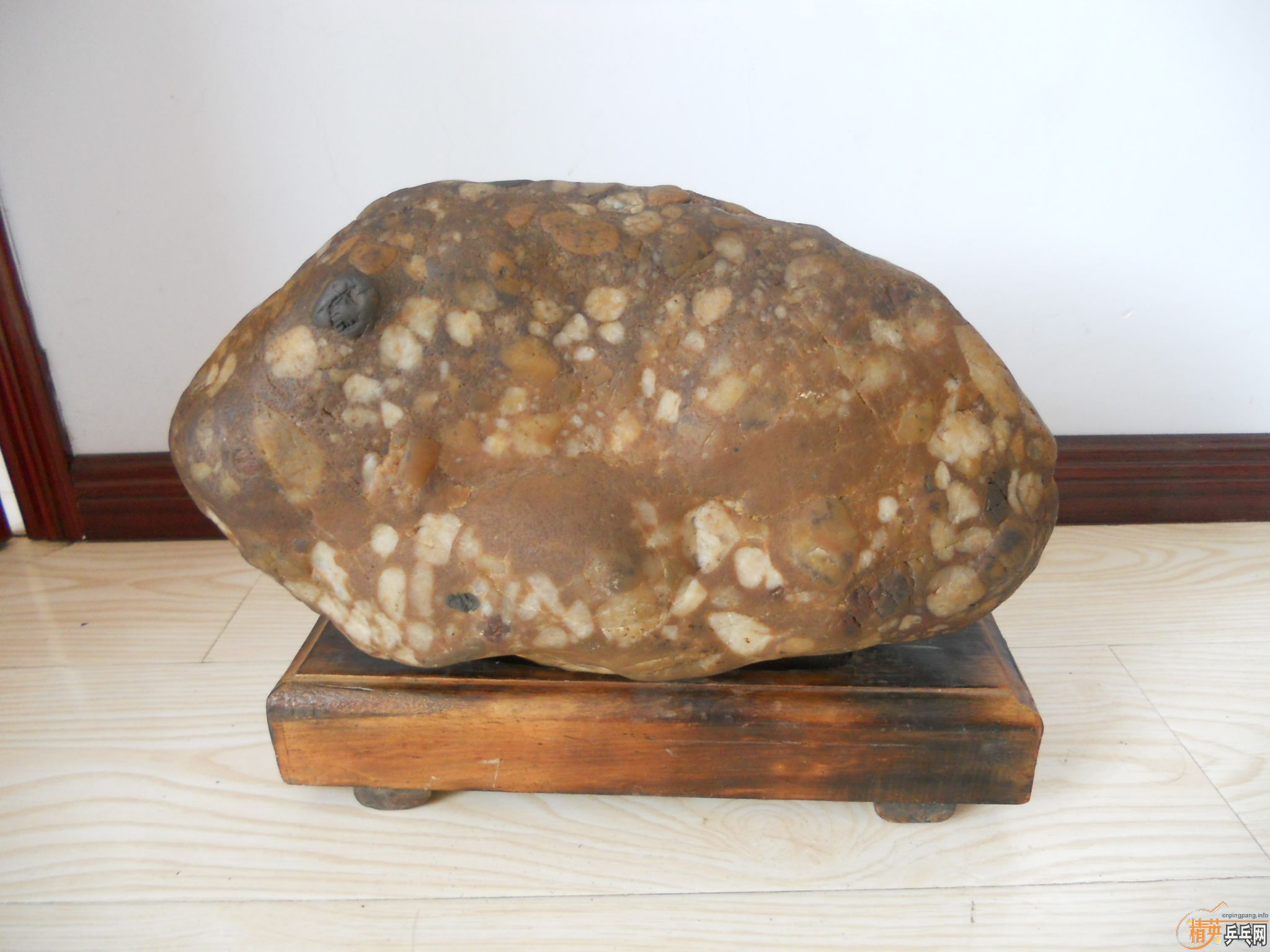 ������������ɳ�����YEO лл