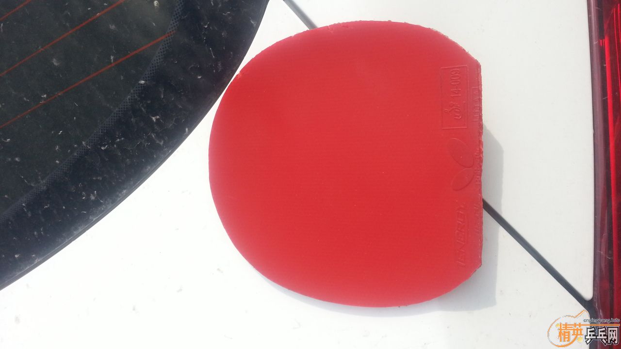 ��������ʧ�ܵ�T05 FX!