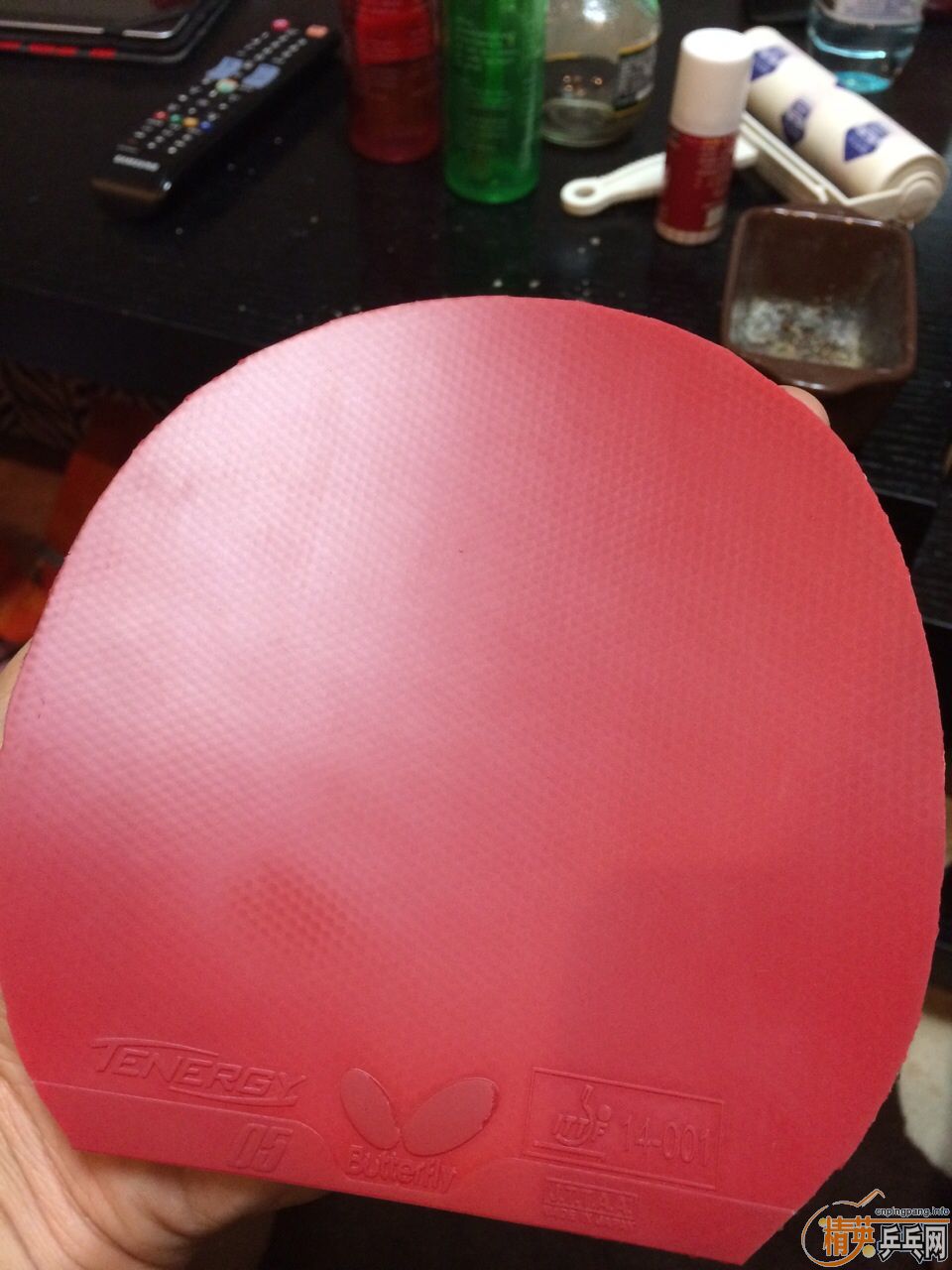 t05���к�ɫ��ֻ����һ�ܣ�˹�Ͽ�����