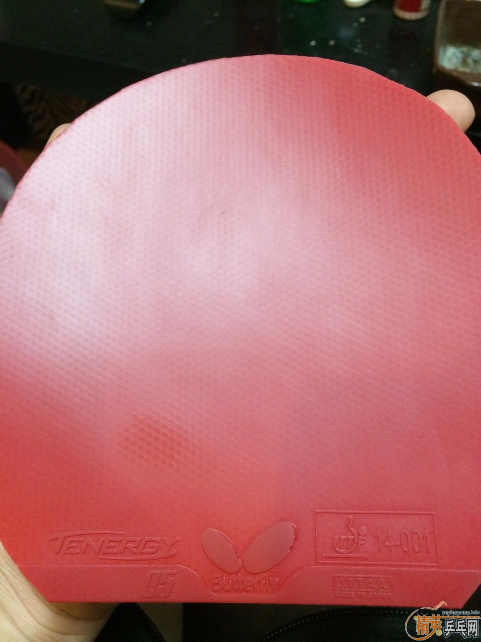 t05���к�ɫ��ֻ����һ�ܣ�˹�Ͽ�����