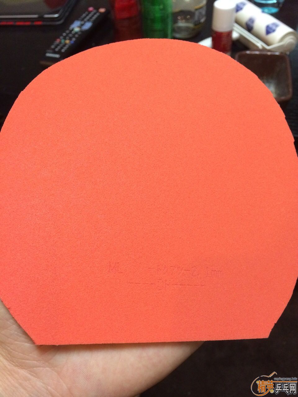 t05���к�ɫ��ֻ����һ�ܣ�˹�Ͽ�����