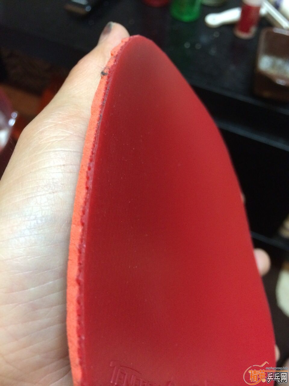 t05���к�ɫ��ֻ����һ�ܣ�˹�Ͽ�����