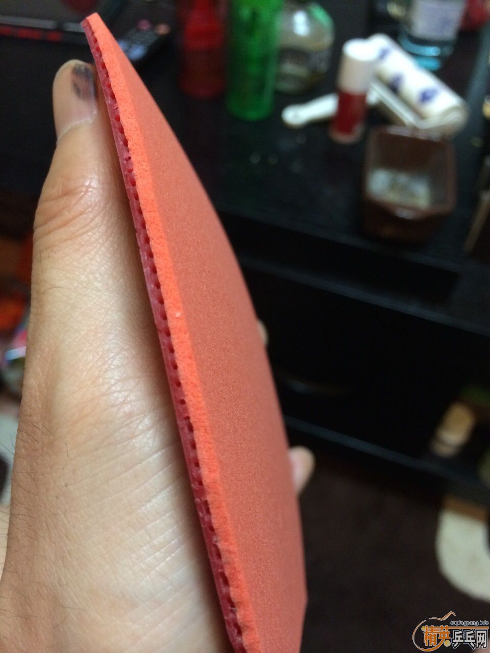 t05���к�ɫ��ֻ����һ�ܣ�˹�Ͽ�����