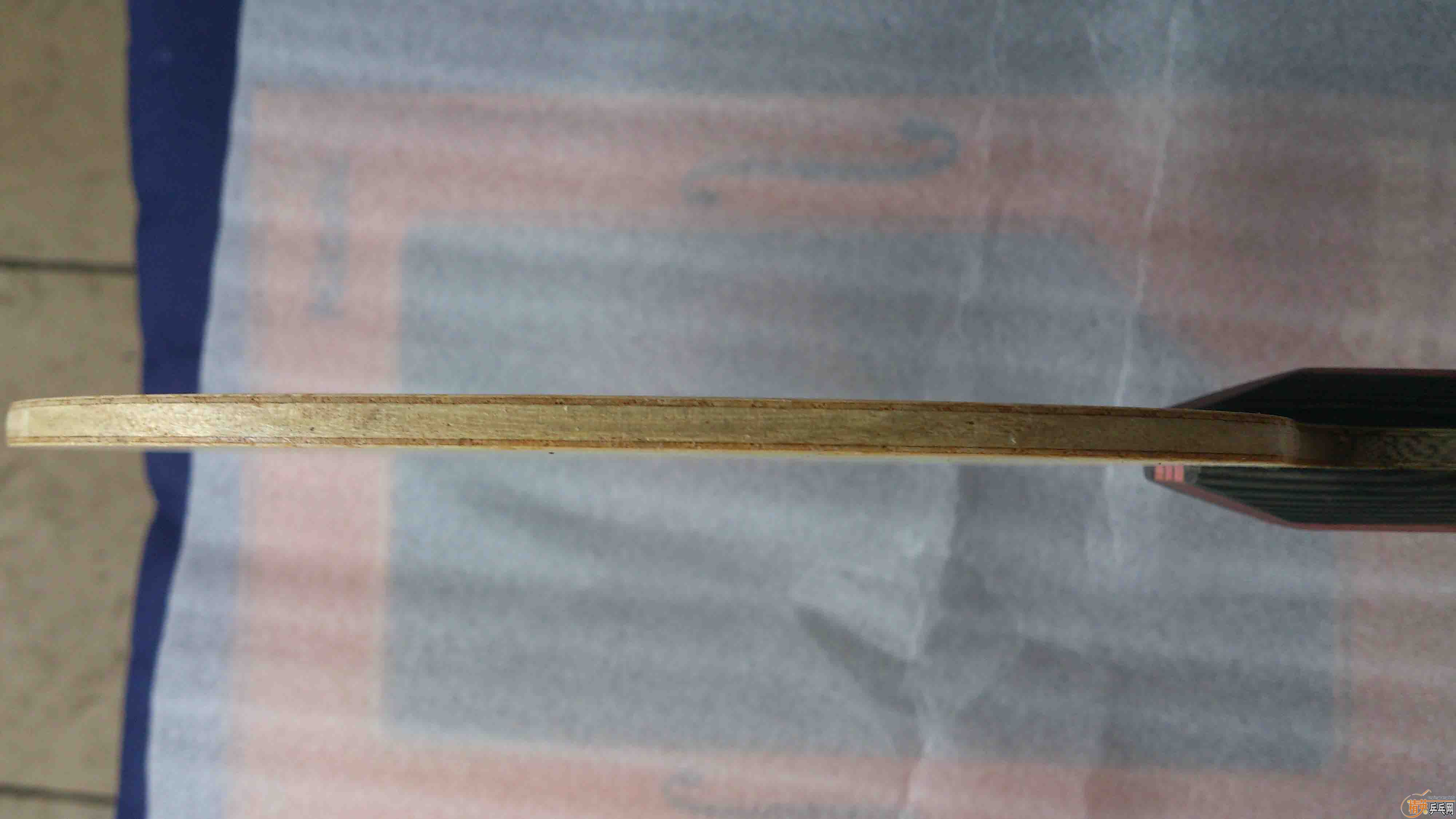 ��������С���� fl