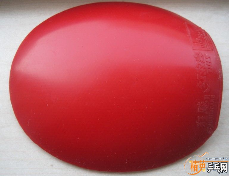 ����+�տ� ��������