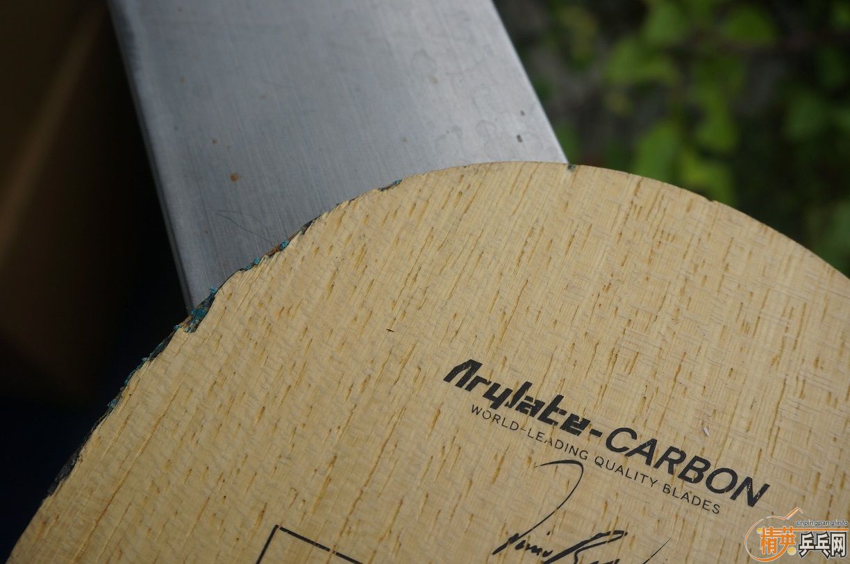 [ԭ��]�������֧������������,һ֧��ʩ��̼�������׽�,һ֧�ǲ�������