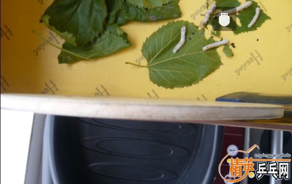 ��Ʒ�ನ��ZLC ����Ʒ��90��VIS������ۻ��߳�