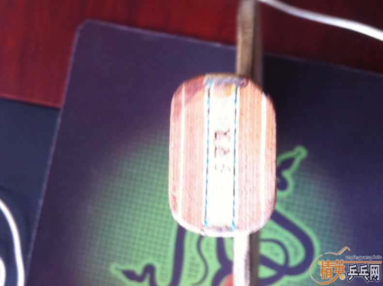 �����������ɳ��ɻ�