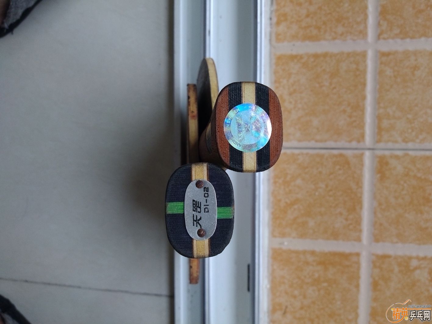ǳõĳѧߵذ(ѵ)!